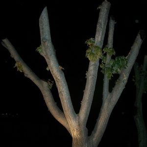 Meet your Posher, Frederikc